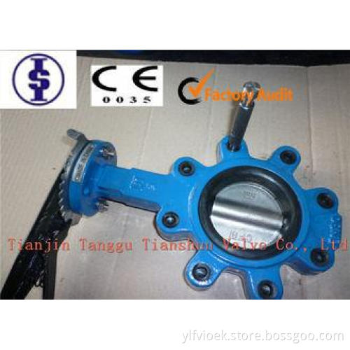 Industrial Manual / Worm Gear Operated Butterfly Valve Wafe